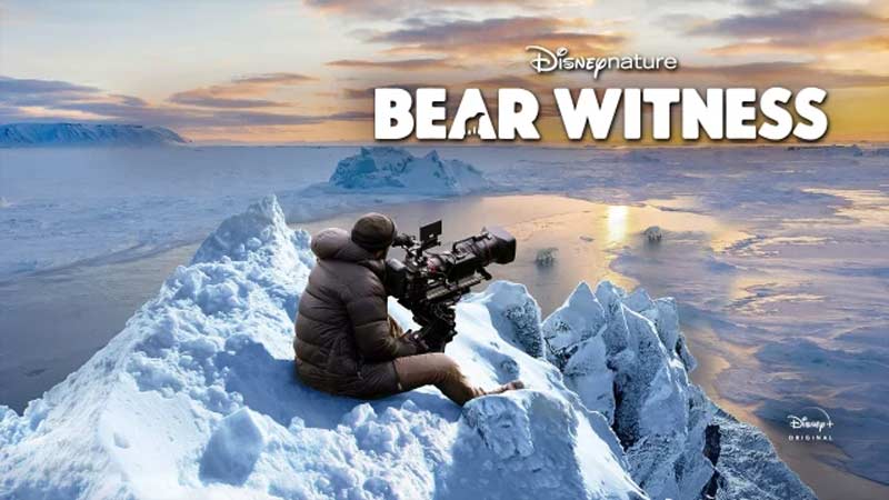 Watch Bear Witness(2022) 